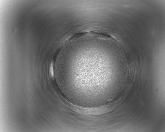 X0000066100046200603171408