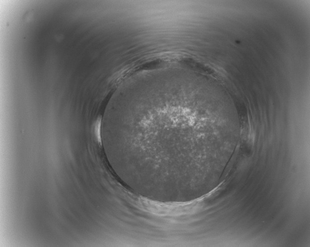 X0000066100047200603171408