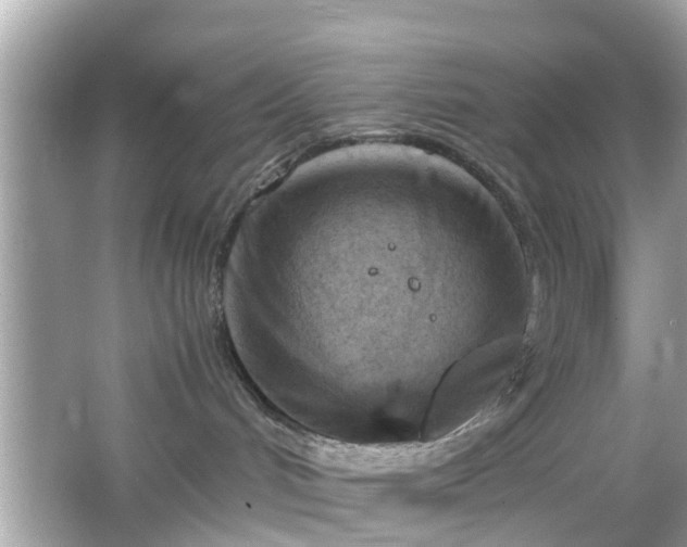 X0000066100048200603171408