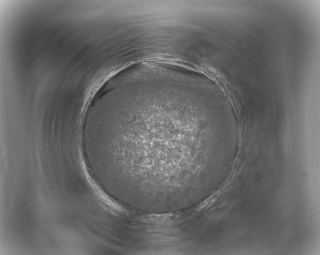 X0000066100049200603171407