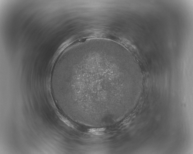 X0000066100051200603171407