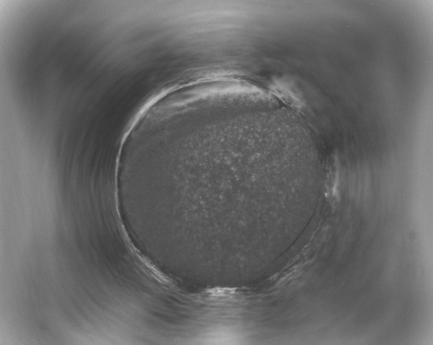 X0000066100052200603171407