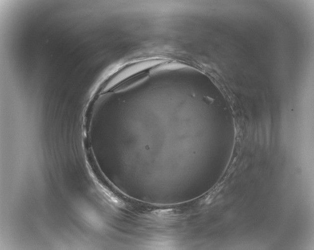 X0000066100054200603171407