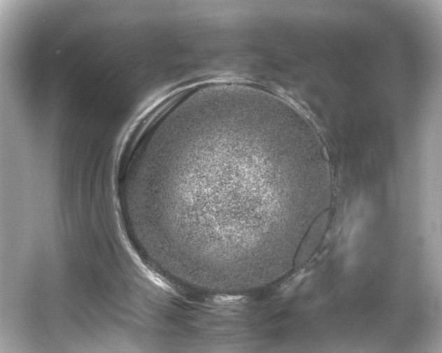 X0000066100055200603171407