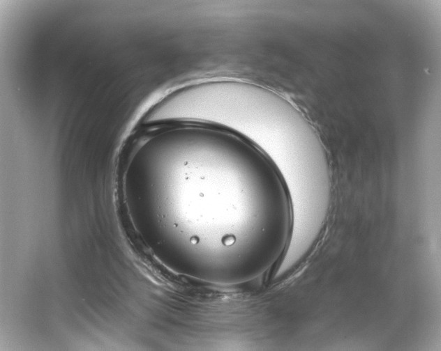 X0000066100056200603171407