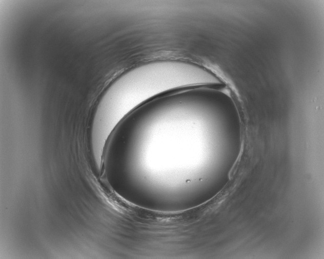 X0000066100057200603171407