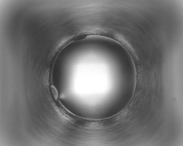 X0000066100058200603171407