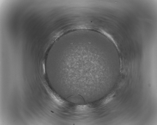 X0000066100061200603171407