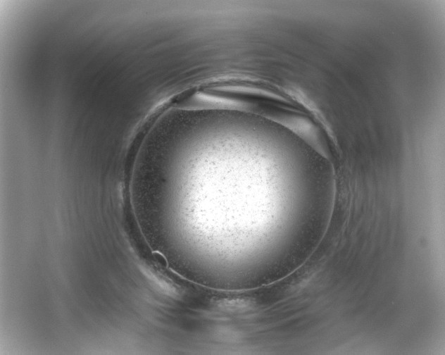 X0000066100063200603171407