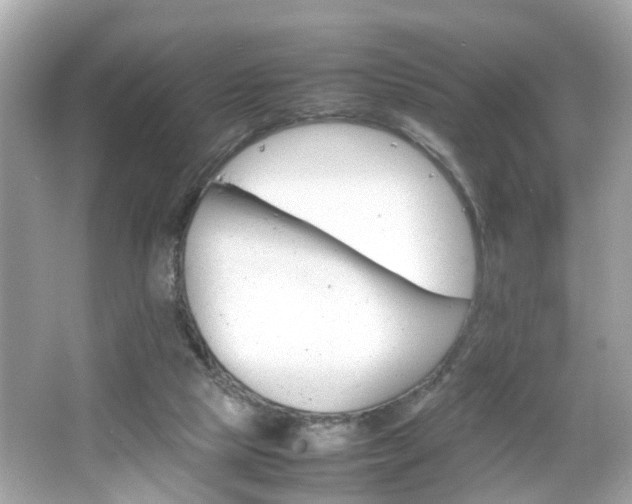 X0000066100065200603171407