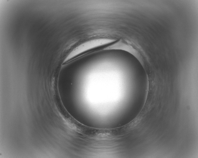 X0000066100066200603171407