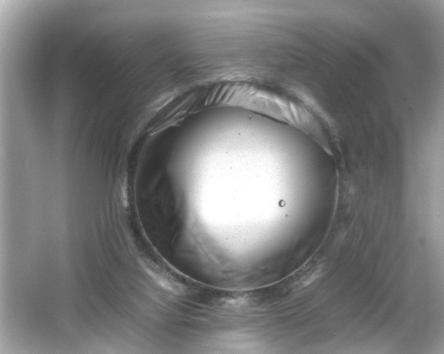 X0000066100068200603171407