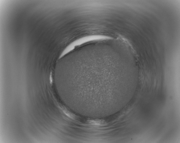 X0000066100069200603171407