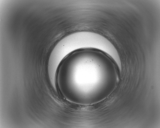 X0000066100072200603171407