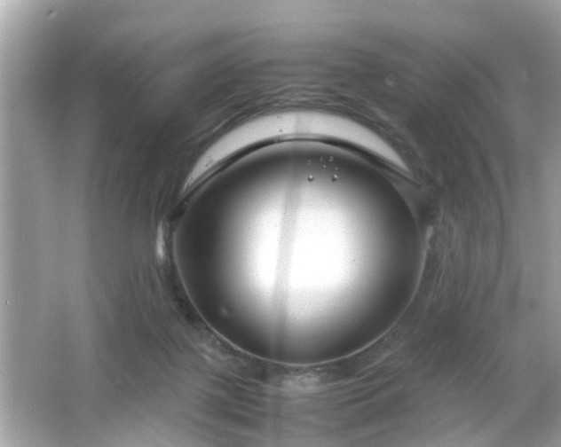 X0000066100075200603171408