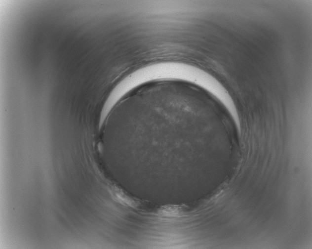 X0000066100076200603171408