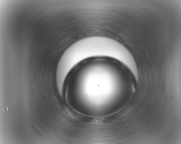 X0000066100080200603171408