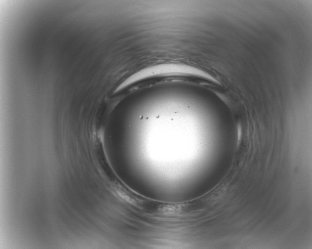 X0000066100084200603171408