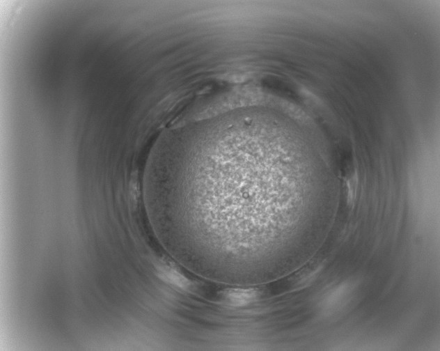 X0000066100085200603171408