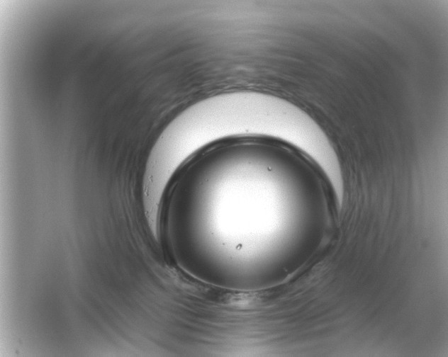 X0000066100088200603171408