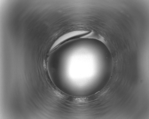 X0000066100089200603171408