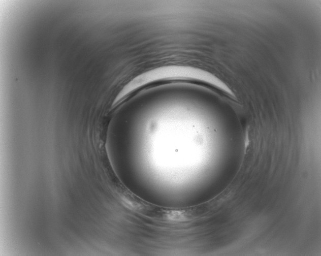 X0000066100091200603171408