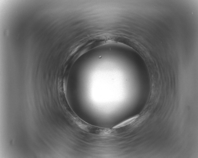 X0000066100096200603171408