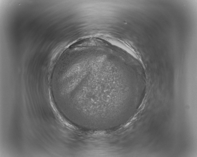 X0000066100097200603171407