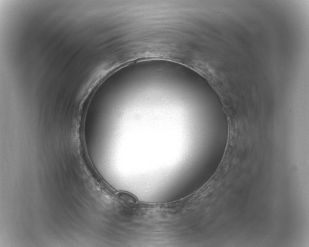 X0000066100098200603171407