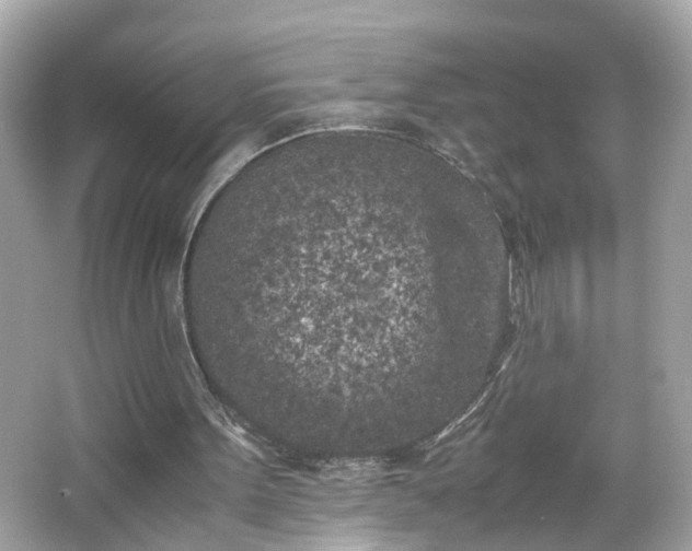 X0000066100099200603171407