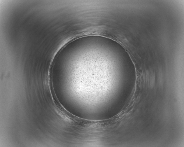 X0000066100100200603171407