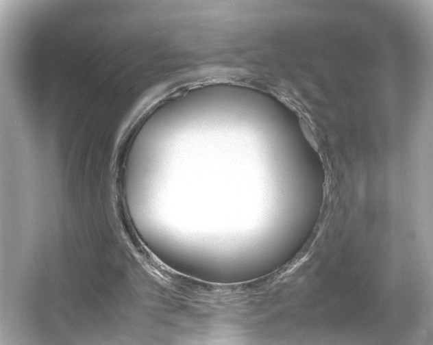 X0000066100101200603171407