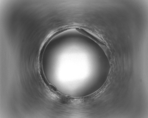 X0000066100102200603171407