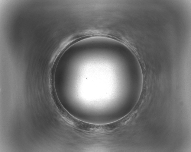 X0000066100103200603171407