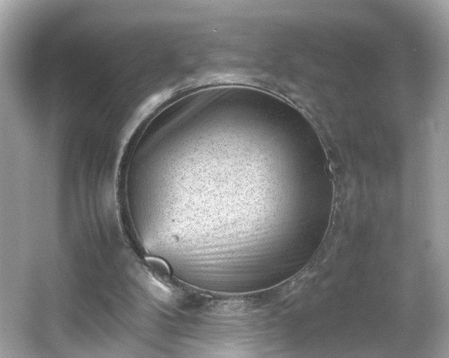 X0000066100104200603171407