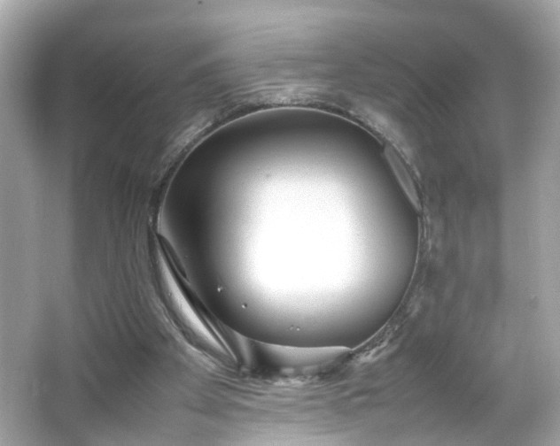 X0000066100105200603171407