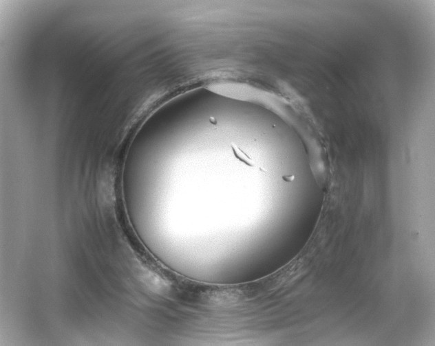 X0000066100106200603171407