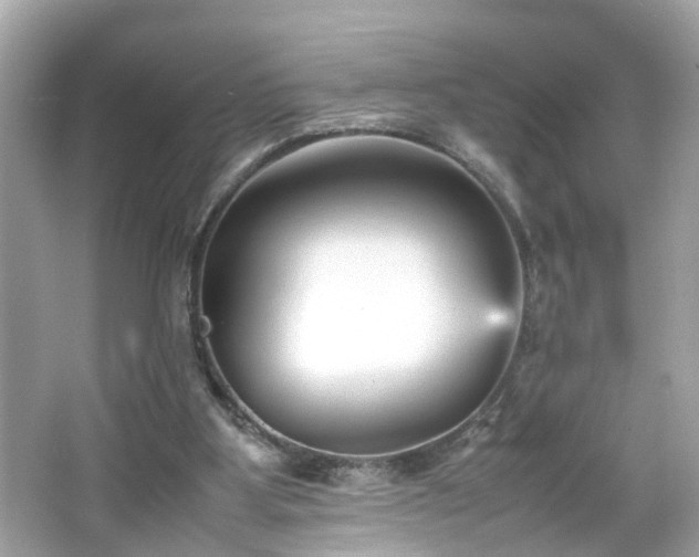 X0000066100107200603171407