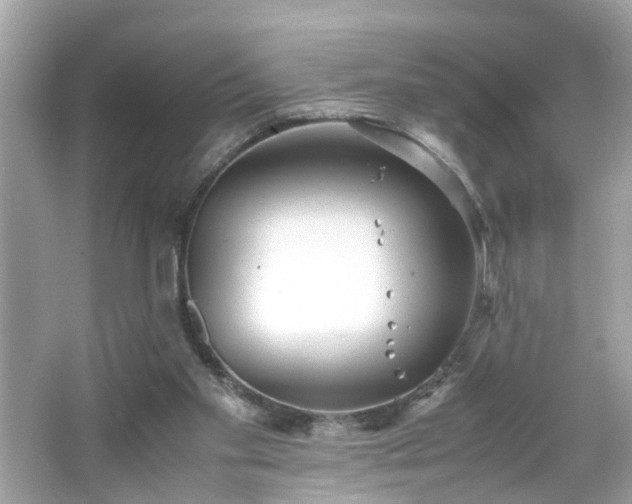 X0000066100109200603171407