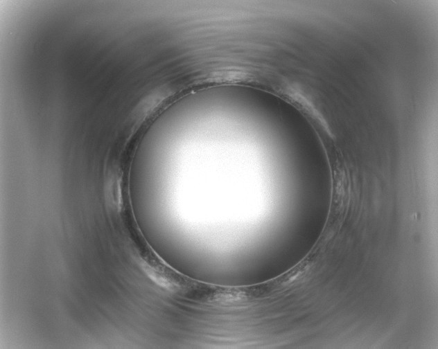 X0000066100110200603171407