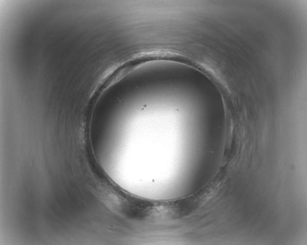 X0000066100111200603171407