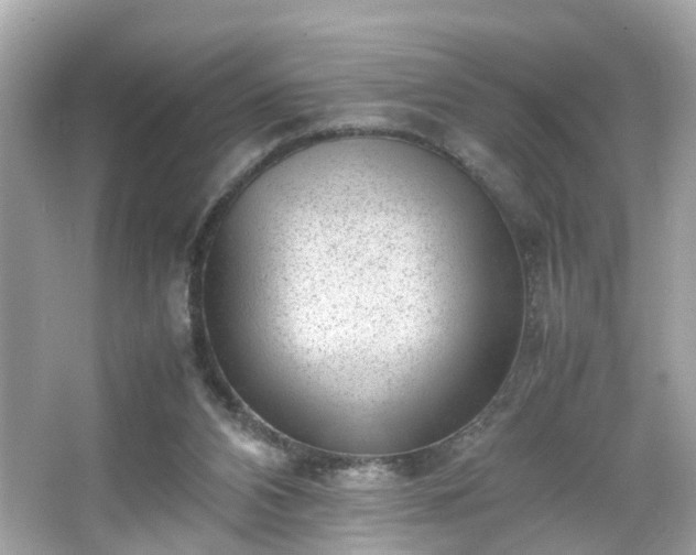 X0000066100112200603171407