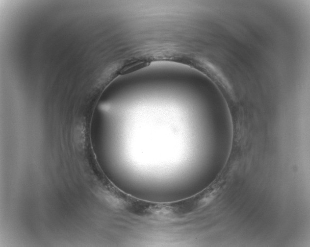 X0000066100113200603171407