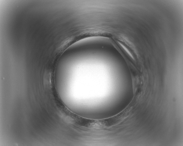 X0000066100115200603171407