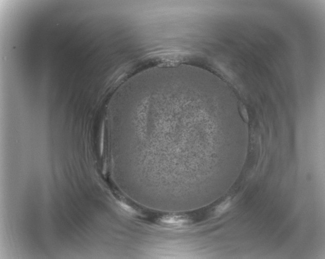 X0000066100117200603171407