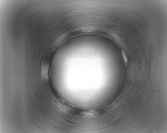 X0000066100118200603171407