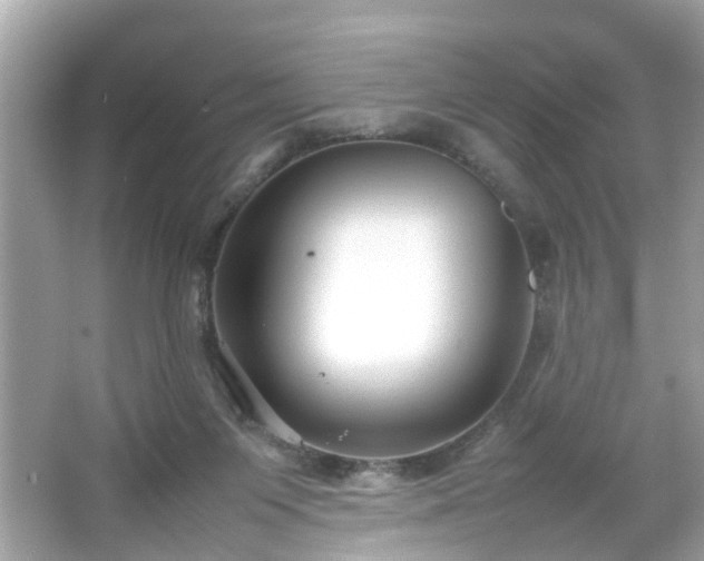 X0000066100119200603171407