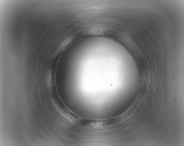 X0000066100120200603171407