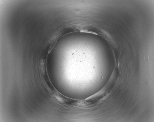 X0000066100121200603171407