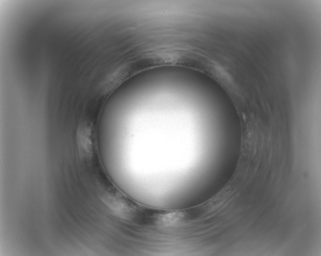 X0000066100122200603171407